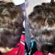 Coupe et  brushing